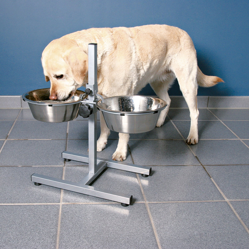 Trixie Dog Bowl with Adjustable Stand Wayfair